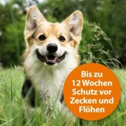Ardap Spot-On Für Hunde M -FRESSNAPF Geschäfte 754cb0999b71200c7309e0ceebfa48c781455c5a 1150898 de DE 985bac0b3c4e553309f761cccdf8a28957d958admDXlh4