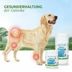 Aniforte CollaMove Kollagen Dog 250 G -FRESSNAPF Geschäfte 75672215f1f4fcca3f8e7213ec0ffd0d5d85569d 1457284 de DE ca37c283956d4c8fb795d57dc0dc2d5214500e79BOJusY