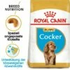 ROYAL CANIN Cocker Puppy 3kg -FRESSNAPF Geschäfte 776e7939c3f5beba5f60f40636df9373ab794acd 52679ac7f9df8215bdf24ab7b3e8cc09e108cadc