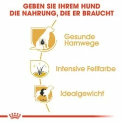 ROYAL CANIN Zwergschnauzer Adult 3kg -FRESSNAPF Geschäfte 77e331cd9fcae9ed7be9f7a8c30418a1469100cb 1e18f973f74ec6522c9cbb67634ea47bb6587bea