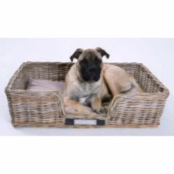 Happy House Rattankorb S -FRESSNAPF Geschäfte 784ded544d544c6c7991912329940a0821bbb9bb 43a3fc843ee33bacc6e143a79a9183844dbea183