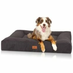 Knuffelwuff Orthopädisches Hundebett Aus Velours Mit Handwebcharakter Sofia Schwarz M-L -FRESSNAPF Geschäfte 7866a9ee37c544973ba623a007f339621db79188 1412217 de DE ddebd15250c94eee8e106bcaced6cd1e1c5dc83cEquHPd