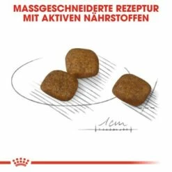 ROYAL CANIN Coat Care Mini 8 Kg -FRESSNAPF Geschäfte 78fd619b6a996551fbf9c2ffe756785ff4757c0f 8def8dcb08d25a9acf7b893d77b665d243e49a47