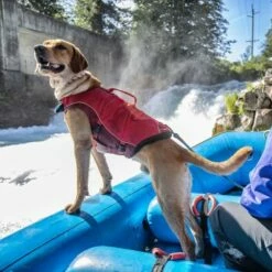 Kurgo Surf N Turf Hundeschwimmweste L -FRESSNAPF Geschäfte 79dfc0cb4a6796d60c6daacda1c5b11d7fb09f59 1355736 de DE bd8dd737de3877d93ad655ba925b1e0b2f7ec76bhwaTZD