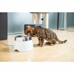 AniOne Edelstahl-Trinkbrunnen Trevi Ohne Ersatzfilter 7 AniOne Edelstahl-Trinkbrunnen Trevi Ohne Ersatzfilter -FRESSNAPF Geschäfte 7a066af048695bbfaeca0a855e5984fc3bf99d03 689fcf415d486ac05c07f2a4868b1d087d7a9ece