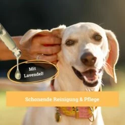 BeG Buddy Ohrreiniger Für Hunde, Juckreiz, Verschmutzung & Ohrmilben, Ohrenpflege Hund -FRESSNAPF Geschäfte 7b60a3022ebb426552422fbdc4dd8d77c64be8cf 1500787 de DE b51c870aaae4933941aa890d02263a49251d01d5OgvvjE