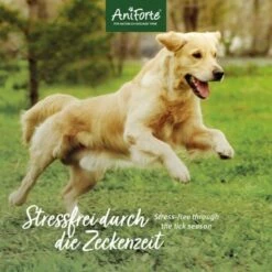 Aniforte Zecken Schild (10 Bis 35kg) Für Hunde 60 Kapseln -FRESSNAPF Geschäfte 7c1f9419501c73304f8da74439e2793f1ac19534 1332832 de DE 6b0465714e7043aa512f07a2e3a3c8a3a07d4c02tI7JlQ