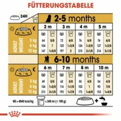 ROYAL CANIN Poodle Puppy 3kg -FRESSNAPF Geschäfte 7c356ad4610b8a705c3b24f682002d504aa26a06 03759a00ee1cb8701f90fe54c89729f207ade41a