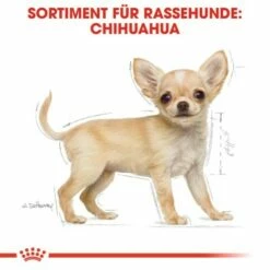 ROYAL CANIN Chihuahua Puppy 1,5 Kg 14 ROYAL CANIN Chihuahua Puppy 1,5 Kg -FRESSNAPF Geschäfte 7dd2fdf31fbafe12844b77541531374b85a5dbbf 5c9b8e420f544ce443bc0dcd34b99a937a14a2be