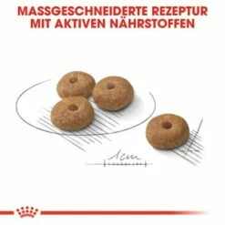 ROYAL CANIN Mini Sterilised 8 Kg -FRESSNAPF Geschäfte 806fc6336005ad959d7d862e33db5a4395c21e92 9484a9f283c4cfb9043b1fbe29679b7ef2a59298
