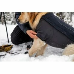 Ruffwear Cloud Chaser™ Hundejacke Schwarz XXS -FRESSNAPF Geschäfte 839577c6525280e266f62f99f67ccc111fd75c4b 1369623 de DE 87ed046f15d6c099e4f33a0b92b8494c495a6d97bF4WS9