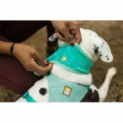 Ruffwear Swamp Cooler™ Kühlendes Halstuch Blau/ Türkis XXS 16 Ruffwear Swamp Cooler™ Kühlendes Halstuch Blau/ Türkis XXS -FRESSNAPF Geschäfte 84380b323534f706adb064c5f59bfe1f6f8adfcb 1639914 de DE 09b76313830836f68f333eee06c0a6bd83fbeec4Hirkw3