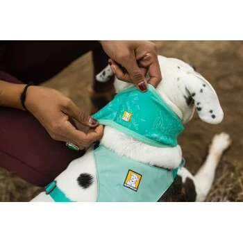 Ruffwear Swamp Cooler™ Kühlendes Halstuch Blau/ Türkis XXS 8 Ruffwear Swamp Cooler™ Kühlendes Halstuch Blau/ Türkis XXS – Bild 6