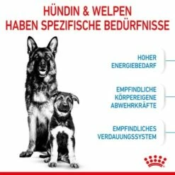 ROYAL CANIN MAXI Starter 15kg 13 ROYAL CANIN MAXI Starter 15kg -FRESSNAPF Geschäfte 84509061cc88bbba93af28332fe80ae82ca37ef9 1044296 de DE royalcaninwb2