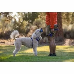 Ruffwear Turnup™ Spielzeug Violett 16 Ruffwear Turnup™ Spielzeug Violett -FRESSNAPF Geschäfte 84fc2e8b9b0f9da024307e38b8124c6538b63d83 1639873 de DE b55d9e6a6e6394a819ce9bddcfc5e34ca488d9f6GUT2Rh