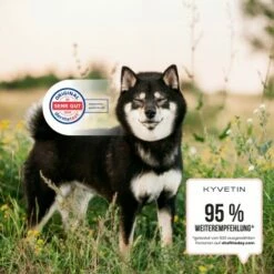 KYVETIN Spray Skin Repair Für Hunde Und Katzen -FRESSNAPF Geschäfte 855eb3c7fca7c841451cde094ef9ccbea4bfbca8 1364195 de DE KyvetinSpray 5