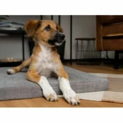 TrendPet VitaMedog 95° Orthopädische Matratze Braun XS 11 TrendPet VitaMedog 95° Orthopädische Matratze Braun XS -FRESSNAPF Geschäfte 8593ab33aaee7b7db5c067ae575cd2587eb58a46 1313491 de DE ed4b5eda7bf93be784ebea4f6c775dbba153c634bQuZDK