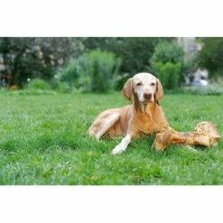 Irish Pure Giant Beef Bone 10 Irish Pure Giant Beef Bone -FRESSNAPF Geschäfte 86b097faf9a0196246935fbf5ce74d2766656c5a 1288899 de DE 690203a5b936f847408528d712bec5c6f6352a69nUjHKg