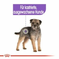 ROYAL CANIN Mini Sterilised 8 Kg -FRESSNAPF Geschäfte 888ecb70e28e9e0430e65732e66adfe151b1387c 1f75de8a24762a98458f9a1011ca31f8459ade9b