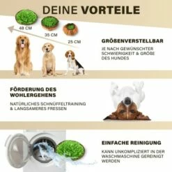 URBAN PAUL Schnüffelteppich - Grün -FRESSNAPF Geschäfte 88b1e83589eb6f9b9d6ae1ee9e00f76cd280ec72 1477263 de DE c4a0dff3ce61eff6f47a9625e837cb3fb18e27168j8mOa