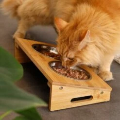 Lionto Futterstation Mit Bambusgestell -FRESSNAPF Geschäfte 8c56991d507e18b3df4a2f4045dbd93cd3bd9353 1665980 de DE aa6482f6e46fc6375e62da8010ac0599c0ca4960aJFeP6