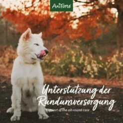 Aniforte 4in1 Complete Dog -FRESSNAPF Geschäfte 8c5939e9a034077a3552f158dbe5f91fd29e1215 1332843 de DE aca85754970fb7b2c441c0d2dd5fcc395b1360c0UEca49