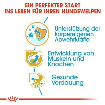 ROYAL CANIN Rottweiler Puppy 12 Kg 8 ROYAL CANIN Rottweiler Puppy 12 Kg – Bild 6