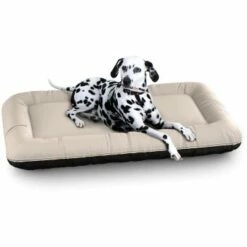 Knuffelwuff Wasserfestes In Und Outdoor Hundebett Lucky Color Edition Aus Nylongewebe Beige XL -FRESSNAPF Geschäfte 8dd02eaae612e5563702fdcfe16605b525d74142 1411797 de DE d114daa6157992e4ce140d57abc1c52285d7dd64ZAW4MD