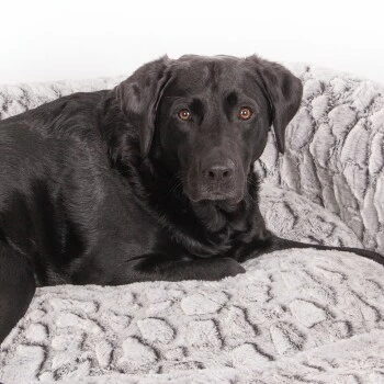 Wallace & Jones Hundebett Cordo-Heaven S 8 Wallace & Jones Hundebett Cordo-Heaven S – Bild 6