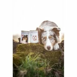 DOG'S LOVE Adult Hypoallergen 6x400g -FRESSNAPF Geschäfte 8e9dbde41a1a7703f7e724e8cfbb5769f1859ef8 1274558 2