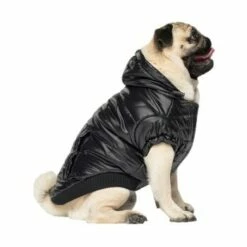 Canada Pooch Glänzende Pufferweste XXS -FRESSNAPF Geschäfte 8ec11177ec9f86d200ff22bc3e0c234ecff91e7e dfb5b396c833a1ace7625fc5796632bee13eda68