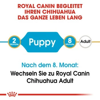 ROYAL CANIN Chihuahua Puppy 1,5 Kg 9 ROYAL CANIN Chihuahua Puppy 1,5 Kg – Bild 7