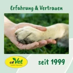 CdVet Ohrenpflege 20ml 15 CdVet Ohrenpflege 20ml -FRESSNAPF Geschäfte 91ea9619f0a6a9470d4078716478f9946127aa43 1033310 de DE 9de31ae422c889f65e12a1085ee6ba81b11de6a3JFtiHC