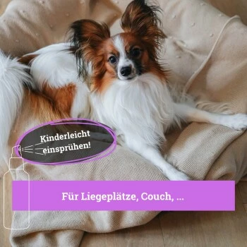 BeG Buddy Körbchen Spray Beruhigung Stress 4 BeG Buddy Körbchen Spray Beruhigung Stress – Bild 2