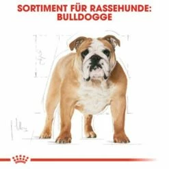 ROYAL CANIN Bulldog Adult 3 Kg -FRESSNAPF Geschäfte 94bd6e2a699860ae2cf6620281add0e7963c9903 6bbd91f11d1f5047e3d00609865561ab7a5064d8