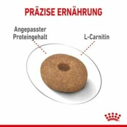 ROYAL CANIN Light Weight Care Mini 8 Kg -FRESSNAPF Geschäfte 953cda22e6e6f64292db62faabb07abaf2e2818f 1293198088b0809ea72955c9e95236463763a095