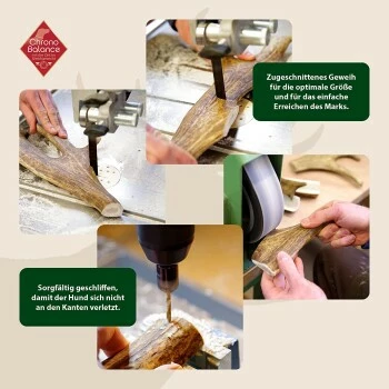 ChronoBalance Kaugeweih Damhirsch (M) 2er Paket 4 ChronoBalance Kaugeweih Damhirsch (M) 2er Paket – Bild 2