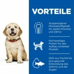 Hill's Science Plan Puppy Large Breed 16 Kg -FRESSNAPF Geschäfte 96858085f1bc3cabf1fc66738fe77472be488f76 52742026084 4