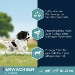 EUKANUBA Active Adult Medium Breed Mit Huhn 15 Kg -FRESSNAPF Geschäfte 974a6b86f2565ad809ee31d93823535018b6d34e 8710255119786 2
