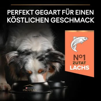 PRO PLAN Optiderma Medium Adult Sensitive Skin 14 Kg 6 PRO PLAN Optiderma Medium Adult Sensitive Skin 14 Kg – Bild 4