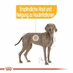 ROYAL CANIN Dermacomfort Maxi 12 Kg 17 ROYAL CANIN Dermacomfort Maxi 12 Kg -FRESSNAPF Geschäfte 978db22590ba776f59a9c9320bcbe8c33f40379a 1376168 de DE aosa 5
