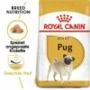 ROYAL CANIN Mops Adult 3 Kg -FRESSNAPF Geschäfte 97aa527eec8827402f5810105466358719797653 c47a919e456903b76868e06baef006f9be36861a