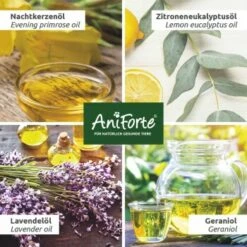 Aniforte Grasmilben-EX Spray Für Hunde 500ml 9 Aniforte Grasmilben-EX Spray Für Hunde 500ml -FRESSNAPF Geschäfte 98329358e5e2ef353de9a78ab0da91fe0a2f3051 1655910 de DE 13bbe2651517a00574d86841d6226b7aad68eefbwKkY86