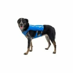 Ruffwear Trail Runner™ Weste Blau XS -FRESSNAPF Geschäfte 98442c3f4ada02dc38bbe918031392b2ba7e1943 1639640 de DE 57b978069b1aa95a705eb1af32811decb2e9cfecAOoih7