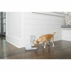 PetSafe Futterautomat Für 2 Mahlzeiten -FRESSNAPF Geschäfte 98670f242f118bad629edcf021dc784c6a55633d 1343837 2