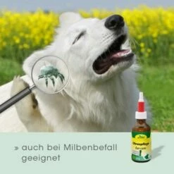 CdVet Ohrenpflege 50ml -FRESSNAPF Geschäfte 996bc55aca7303d71af6872442ff47b85087fa20 1322257 de DE 913b3fb28cb4c7cbb549b216ae11f3b04ff5ee25VNtsyN