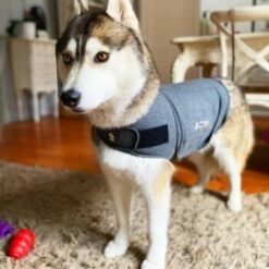 Thundershirt Beruhigungsweste Grau XS -FRESSNAPF Geschäfte 9a1e301e33f1361e91f7c9989e135033c3825116 854880001141.PT09
