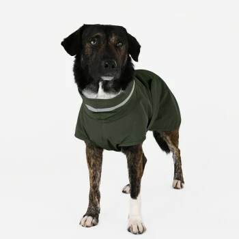 THE DOG IDEA Regenmantel Kayden Dunkelgrün XXXS 5 THE DOG IDEA Regenmantel Kayden Dunkelgrün XXXS – Bild 3