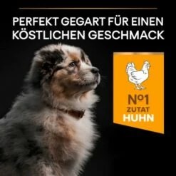 PRO PLAN Optistart Medium Puppy 3 Kg -FRESSNAPF Geschäfte 9a92408e2d341a6cc1d3dde9b2f9e7aec56b8319 1206411 8