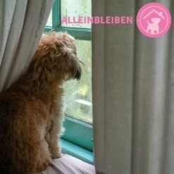 ADAPTIL Junior Halsband Anti Stress Erziehungshalsband 20 ADAPTIL Junior Halsband Anti Stress Erziehungshalsband -FRESSNAPF Geschäfte 9bbf7e6f41f83b5fa8b29d667d967c1e0968de59 1287044 8